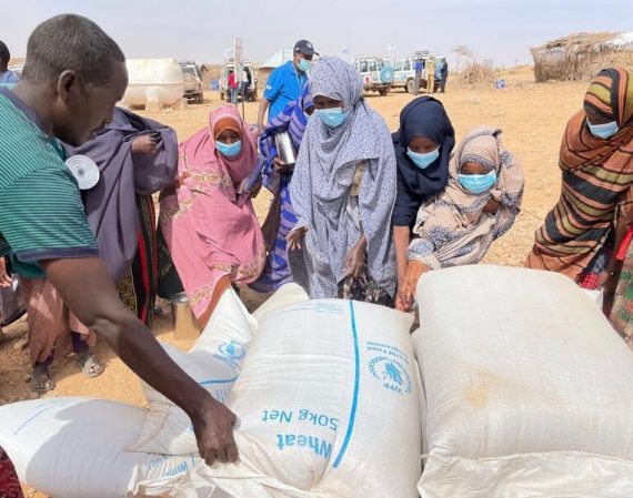 wfp somalia