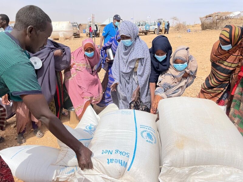 wfp somalia