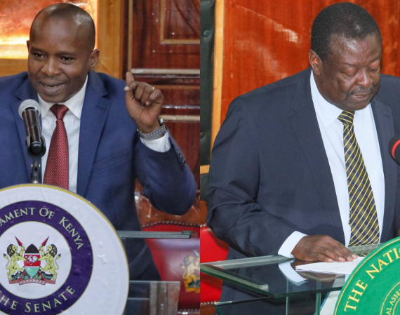 KINDIKIKI AND MUDAVADI