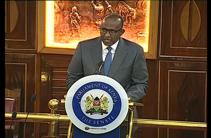 Waziri Aden Duale akihutubia Maseneta