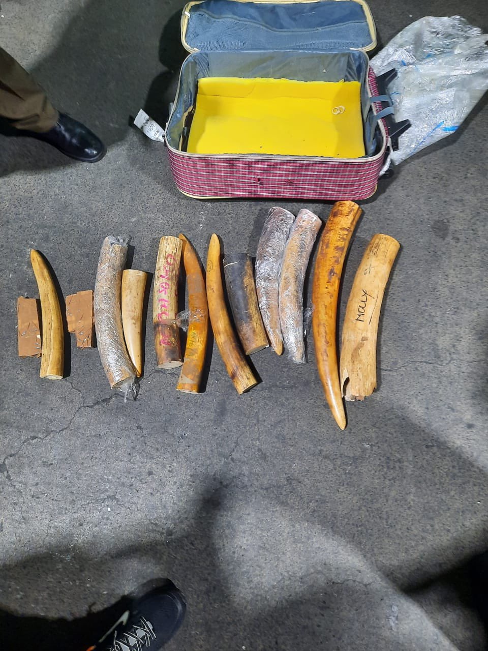 pembe za ndovu JKIA