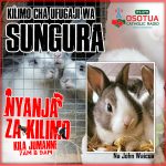 Nyanja za Kilimo